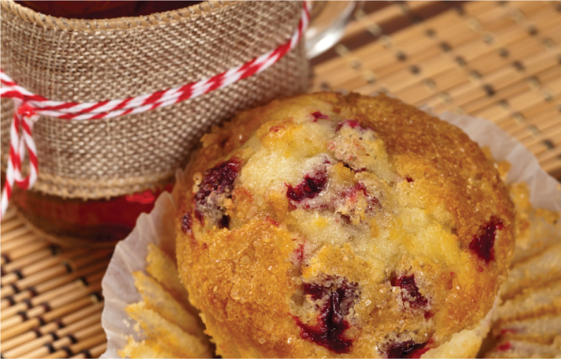 Cranberry and Orange Muffins Diabetes Friendly Recipe IBD Medical