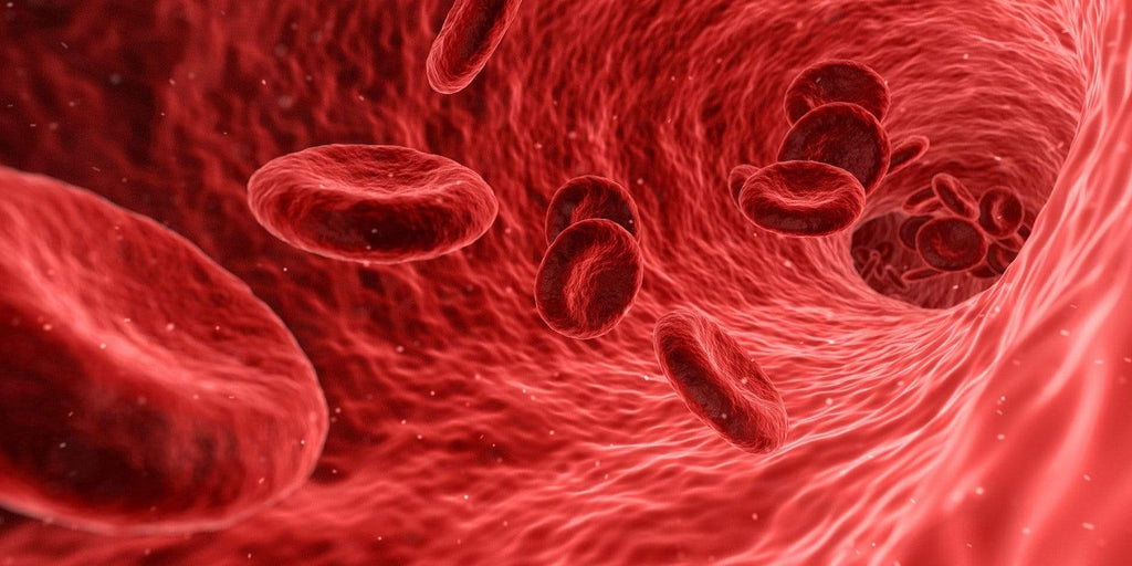 Understanding the Impact of Diabetes on the Human Body: Key Insights for Better Management